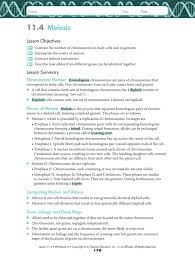 Section 11 4 meiosis (pages 275 278) untitled name chapter ?`s (pp. 11 4 Meiosis