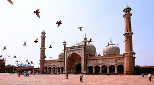Rajasthan The Tigers Of Ranthambore Holidays 2020 2021 In 2020 India Tour Taj Mahal Travel