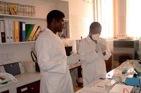 Image result for Sesbania macowaniana