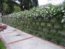 Laurie Callaway Garden Design Callaway Gardens Backyard Trellis Garden Design