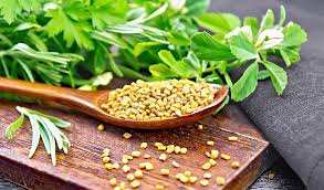Learn about the potential benefits of fenugreek including contraindications, adverse reactions, toxicology, pharmacology and historical usage. Top 10 Science Based Health Benefits Of Fenugreek Seeds Healthy Blog