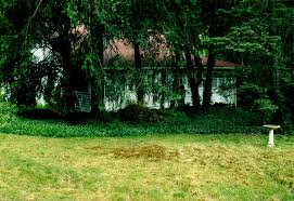 Image result for Sherwood Green 1951 Plymouth