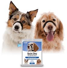Quiet Dog The Gentle Shush Natural Pet Foods So which dog clippers are quiet and effective? quiet dog the gentle shush