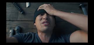 Why doesn't One Piece characters' injuries heal?