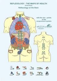 Back Reflexology Chart Reflexology On The Back