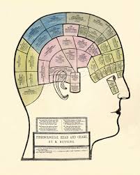 Details About 1857 Phrenology Nutting Head Chart Poster Medical Print 16x20