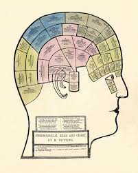 details about 1857 phrenology nutting head chart poster medical print 16x20