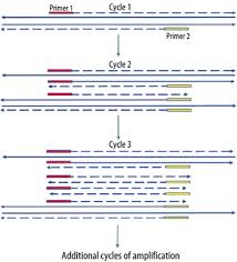 To sign up for access to gribbles veterinary eresults please visit: Molecular Pathology Methods Springerlink