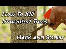 Pin On Diy