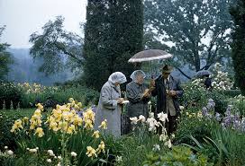 Elderly Garden Enthusiasts In Raingear Take Notes In An Iris Garden In Concord Massachusetts 1959 Photograph By M Williams Woodb Photographie Jardins Vivre