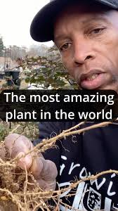 Interesting gardening information from an Indiana expert