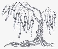 Maybe you would like to learn more about one of these? Willow Png Weeping Willow Tree Transparent Background Png Download Kindpng