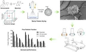 This is a tutorial about how i use the color checker charts for photography. Effect Of Formulation And Inhaler Parameters On The Dispersion Of Spray Freeze Dried Voriconazole Particles Sciencedirect