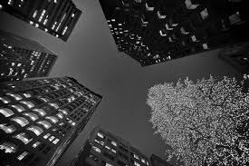 Black And White San Francisco Christmas Christmas Wallpaper Black And White Black And White Wallpaper