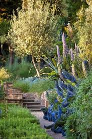 Pin By The Diggers Club On Garden Ideas Inspiration Coastal Gardens Native Garden Australian Garden