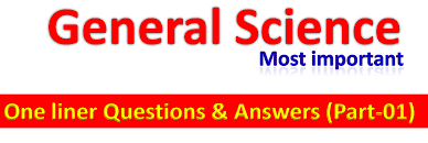 10000 quiz questions and answers www.cartiaz.ro 10000 general knowledge. 1000 Gk One Liner Questions And Answers Pdf Download