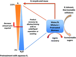 Hydrant flushing begins on august 5, 2019. Understanding The Role Of Water During Ionic Liquid Pretreatment Of Lignocellulose Co Solvent Or Anti Solvent Green Chemistry Rsc Publishing