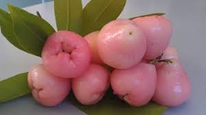 The first hidden rose apple® orchard was planted by eric schwartz in 1992. Rose Apple Nutritional Value Health Benefit Recipes Rxharun