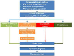 Image result for Colposcopy Findings