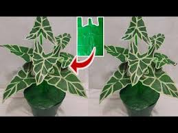 115 Diy Bunga Daun Keladi Dari Plastik Kresek How To Make Alocasia Flower From Plastic Bag Youtube Bunga Buatan Sendiri Bunga Kertas Bunga