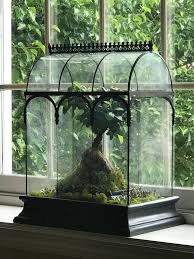 Large Glass Terrarium H Potter Wardian Case Display Case Fairy Garden Succulent Container Large Glass Terrarium Succulents In Containers Terrarium For Sale