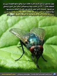 Pin On إعجاز العلمي