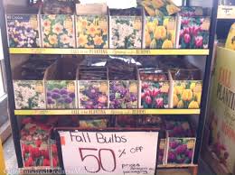 100pcs/ bag rainbow tulip bulbs seeds garden flower plant flowers. Spring Bulbs 50 Off At The Home Depot One Hundred Dollars A Month