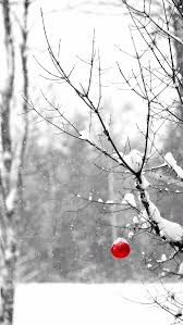 Black And White Christmas Wallpaper Winter Iphone 5 Wallpaper Red Christmas Christmas Decorations White Christmas