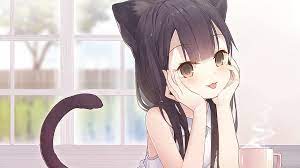 3840x2160 Anime Cat Girl, Orelhas de Animal, Rabo, Loli, Fofa papel de  parede HD | Pxfuel