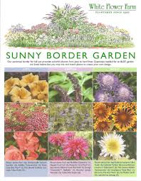 Perennial border flowers full sun. Pin By Debbie Decker On Garden And Flowers Flower Garden Plans Garden Borders Garden Planning