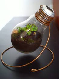 Terrarium Light Diy Light Bulb Light Bulb Crafts Recycled Light Bulbs