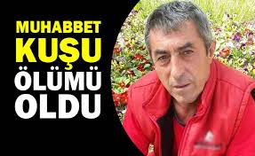 Muhabbet Kusu Olumu Oldu