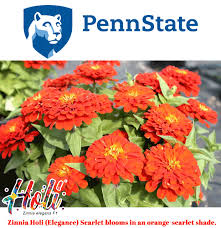 As one of the industrys top importers with a selection of over 30,000 products from. The Best New Annual Flowers For 2019 Penn State Flower Trials Ameriseed