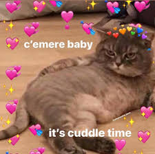 Wholesome Relationship Memes Photos Facebook 20 wholesome relationship memes to warm your cold heart with love | know your meme advanced search protips. wholesome relationship memes photos