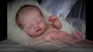 Here my prototype version of evangeline. Charlotte By Laura Lee Eagles Reborned By Kelly Dudley Youtube