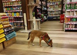 With yellow pages be sure to find exactly what you're looking for. 13 Pet Supply Stores That Are Still Open Offer Delivery Booky