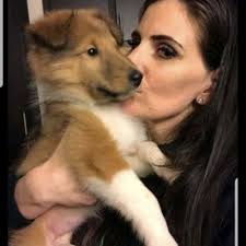 TOP 10 Best VETERINARIANS 24 HOUR in Oroville, CA