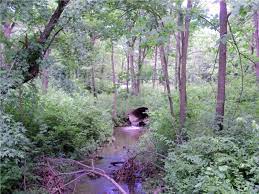 Maybe you would like to learn more about one of these? Kankakee River State Park An Illinois State Park Located Near Bourbonnais Bradley And Channahon