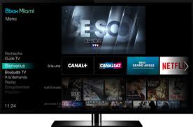 Elle perd son avantage tarifaire sur la freebox mini 4k (android tv) proposée au même tarif, à un. Epingle Sur Tv