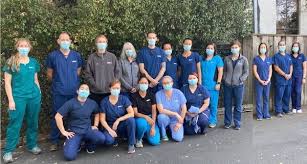 Maybe you would like to learn more about one of these? Vca Madera Pet Hospital 16 Photos 107 Reviews Veterinarians 5796 Paradise Dr Corte Madera Ca Phone Number