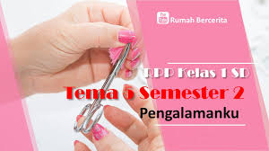 Rpp pkn untuk anak autis. Rpp Kelas 1 Sd 1 Lembar Semester 2 Tema 5 Pengalamanku Youtube