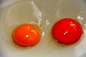 Crema di ricotta all'uovo e miele: Il Miracolo Anti Calvizie La Scoperta Nel Tuorlo D Uovo Un Composto Salva Capelli