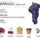 WINESDAY: Nebbiolo Geography Lesson wine flight event image