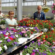 Auf garten.center möchten wir sie einladen, ihren garten neu kennen zu lernen und dessen möglichkeiten voll auszuschöpfen. Gartencenter Ohne Corona Test Besuchen Alle Froh Dass Wir Wieder Offen Haben Region Bad Aibling
