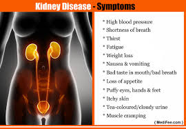 Testing For Kidney Diseases Overview Symptoms Kidney Failure Symptoms Skin Tea Kidney Disease Symptoms