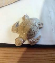 Easy Carved Wooden Turtle Diy Easy Woodworking Projects Woodworking Crafts Learn Woodworking