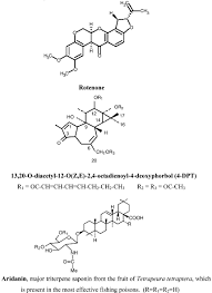 Image result for Eriosema tisserantii