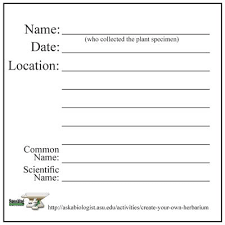 Anleitung, vorlage, informationsblätter zu 20 einheimischen blumen. Herbarium Sheet Template Google Search Labels Herbarium Plants