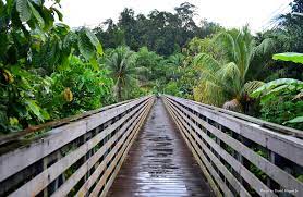 Annah rais village's entrance fee rm8 per person (adult) & rm5 per person (children). A Visit To The Annah Rais Longhouse Visit Sarawak