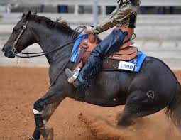 Western riding is considered a style of horse riding which has evolved from the ranching and welfare traditions which were brought to the americans by the spanish conquistadors, as well as both equipment and riding style which evolved to meet the working needs of the cowboy in the american west. Saddle Fit English Vs Western Horse Journals